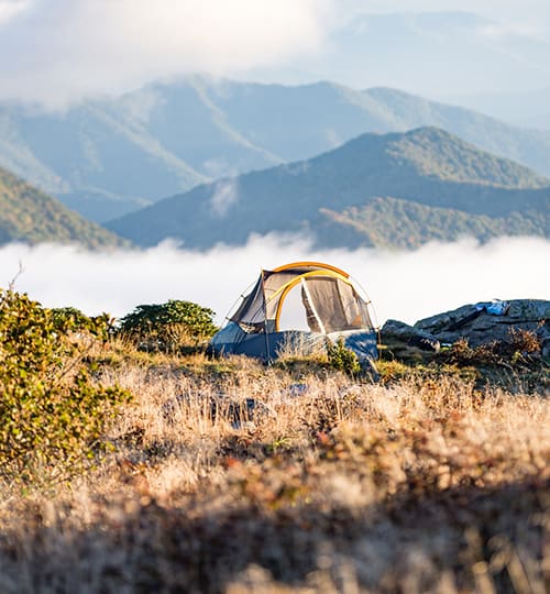 About Camp 3